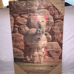 Pier 1 Alpaca wall art